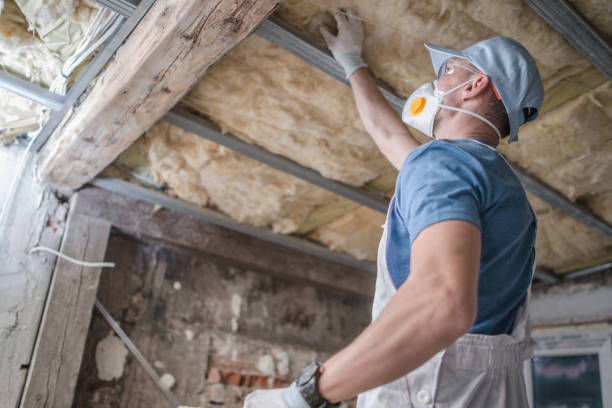 Best Spray Foam Insulation in Sumner, IA