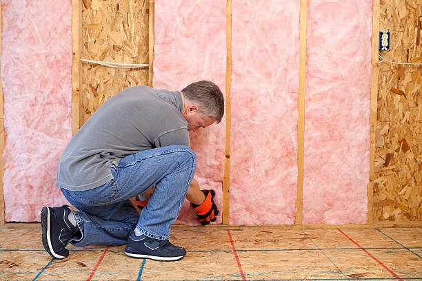 Best Cellulose Insulation in Sumner, IA